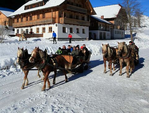 Sleigh ride in winter in Rohrmoos