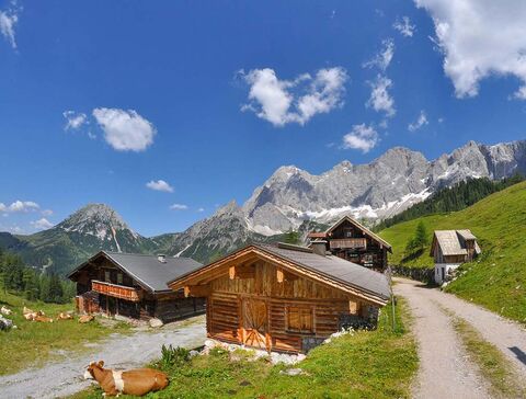 The Neualm overlooks the mighty Dachstein south face