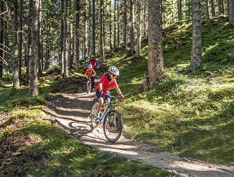 Familie beim Mountainbiken