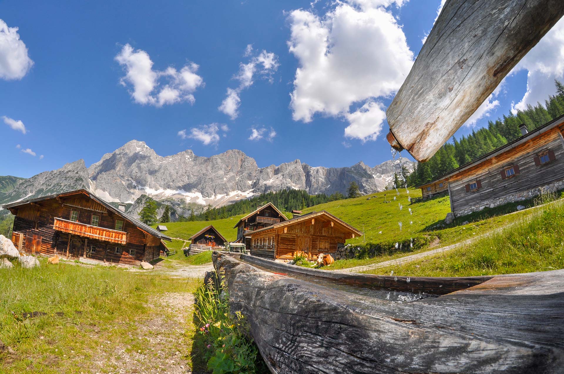 The Neualm at the foot of the Dachstein south face in sunny Ramsau