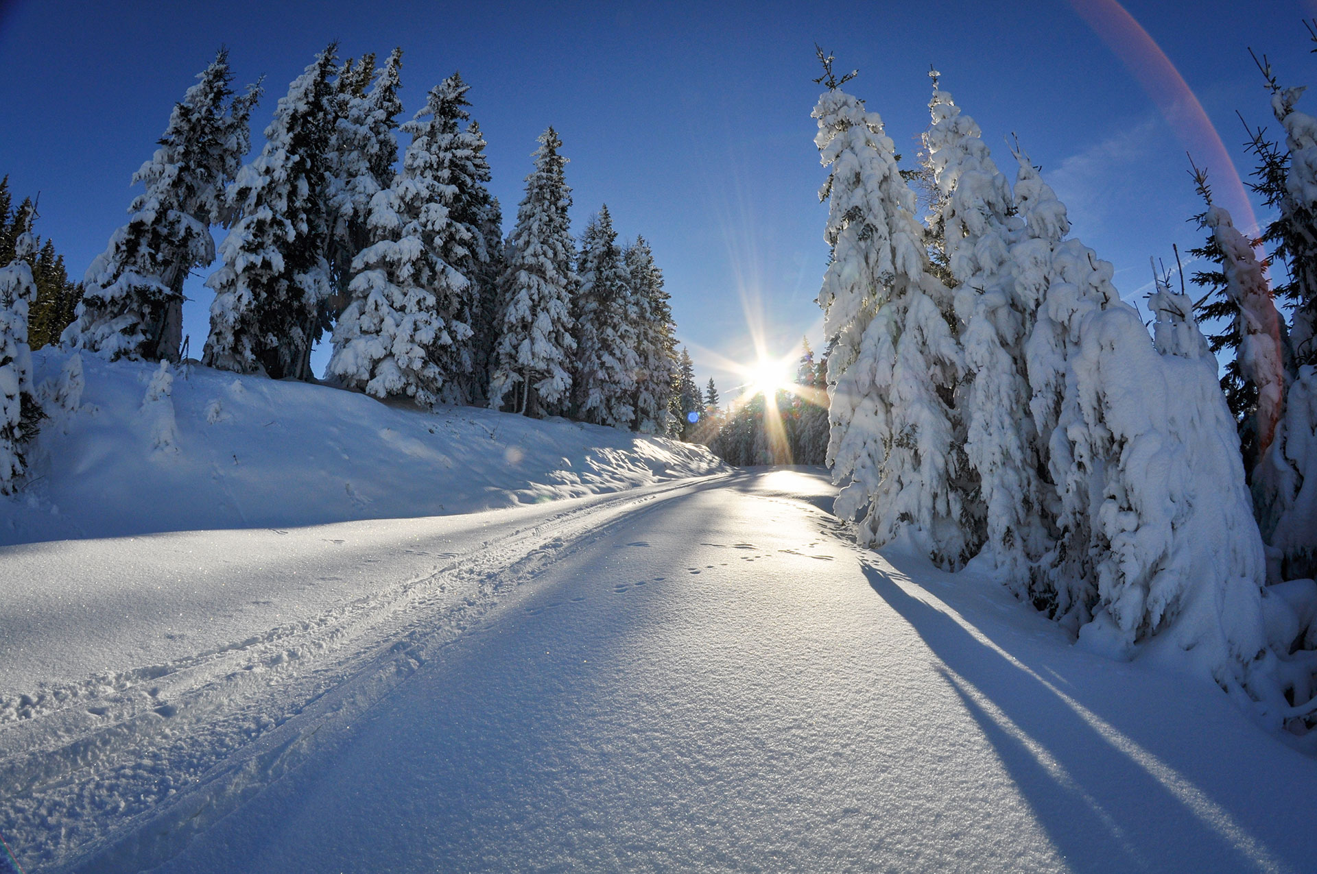 Ski tours or snowshoeing in the holiday region Schladming-Dachstein